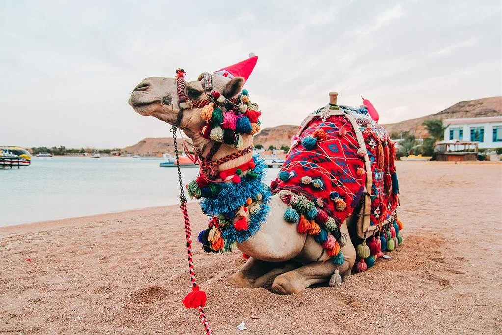 BÜYÜK MISIR TURU 7 GECE 7 GÜN